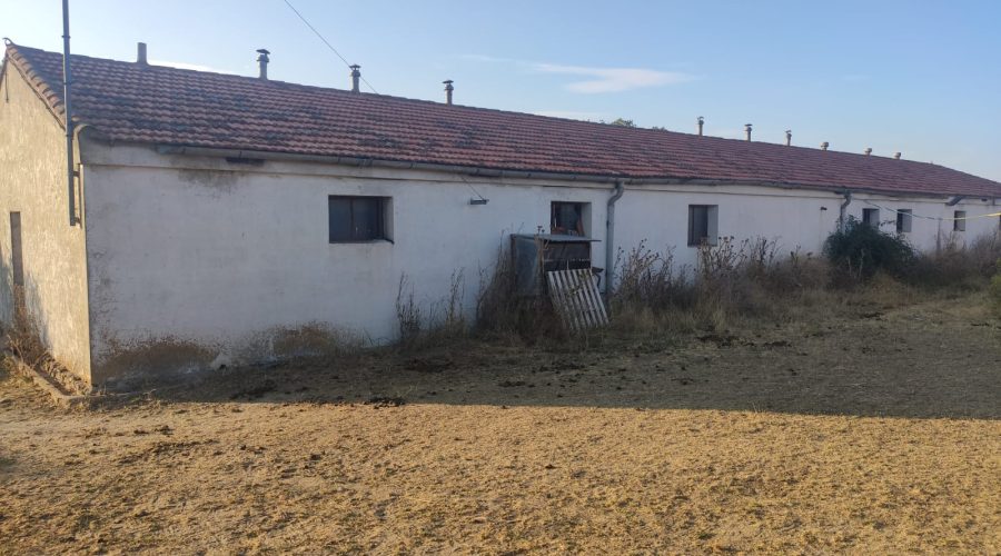 468175658_122184962066155767_2201168144468234775_n