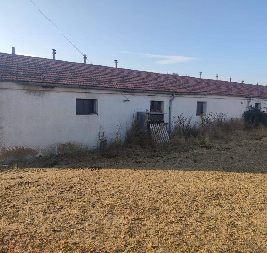 468175658_122184962066155767_2201168144468234775_n