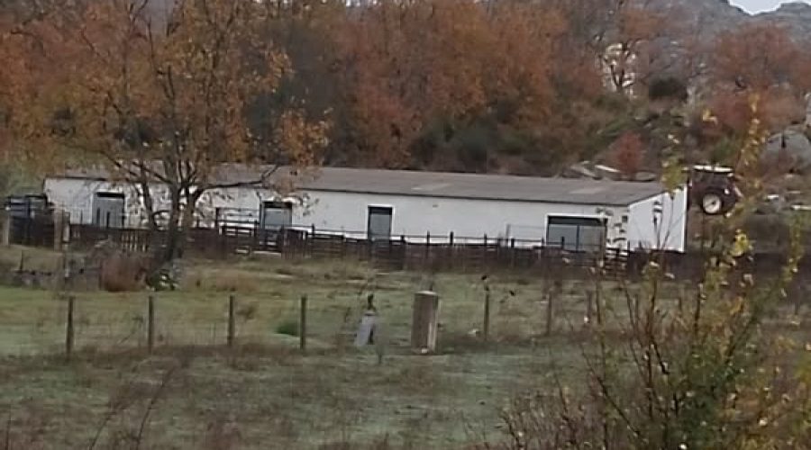 468426161_122184764246155767_5586670151613134602_n