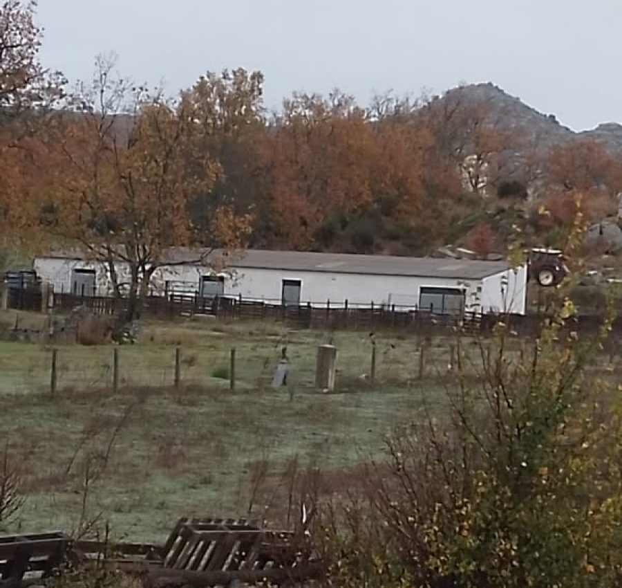 468426161_122184764246155767_5586670151613134602_n