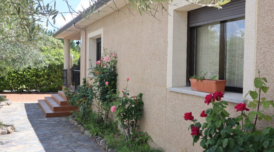 472414222_122192585282155767_758029077218890802_n