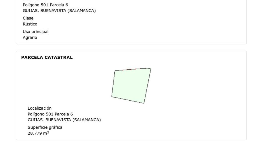 480642180_122203594250155767_380381826275424988_n