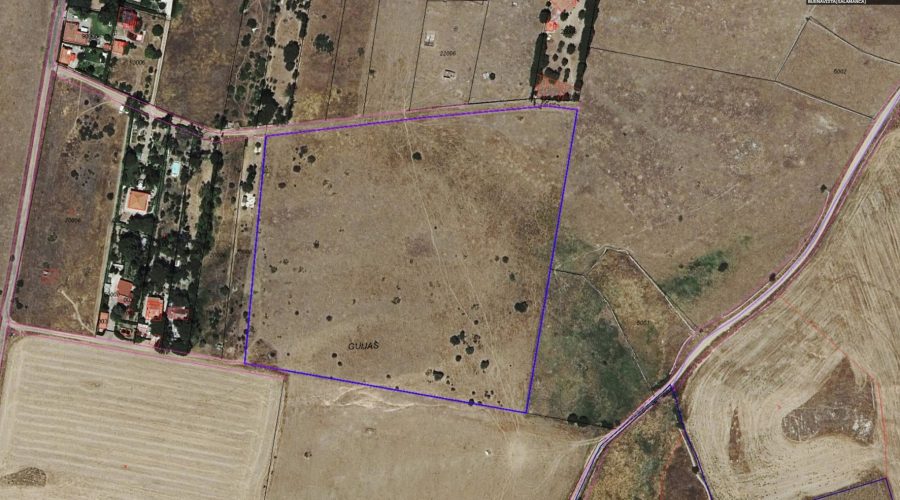 480941302_122203594310155767_6335862571671727771_n